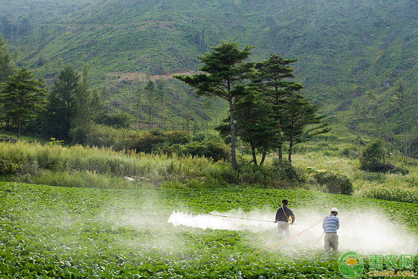 生物农药