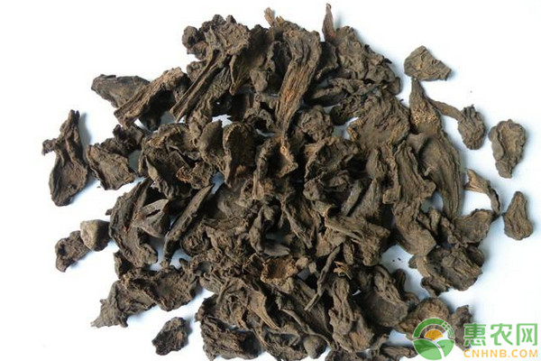 川烏覆膜打孔播種輕簡栽培新技術