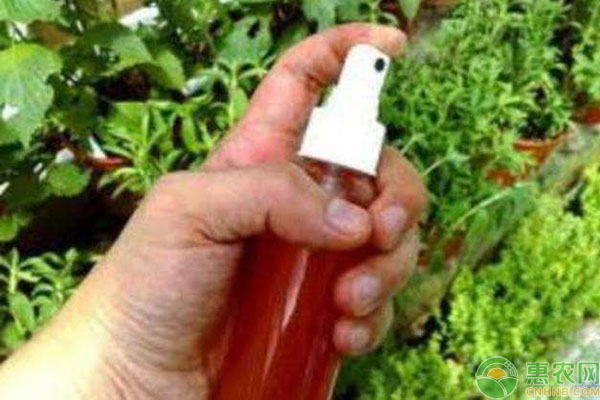 辣椒水防虫注意事项