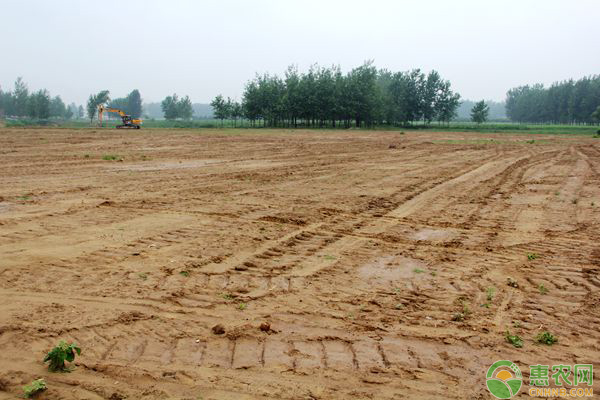 果園土壤退化改善措施