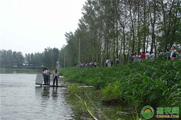 池塘養(yǎng)魚(yú)的管理