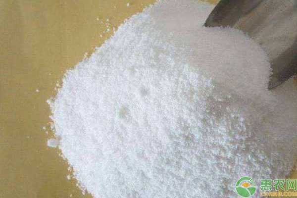洗衣粉防虫方法