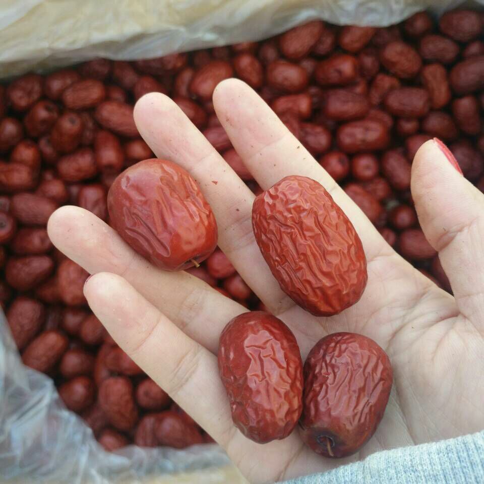 河北省沧州市献县若羌灰枣 一级