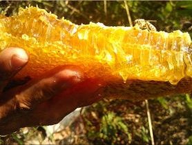 蜂蜜价格行情
