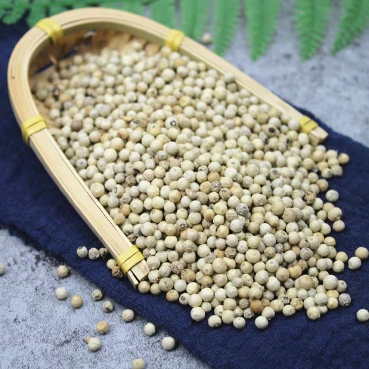 正宗越南白胡椒天精选然农家调料散装免费磨粉香料5斤包邮卤肉料