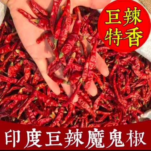 印度干辣椒 特辣印度魔鬼椒干度好免费加工段面24小时发货21省5斤包邮
