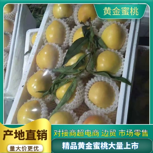 126油桃 中油4号 支持电商 边贸 市场零售 免费找车